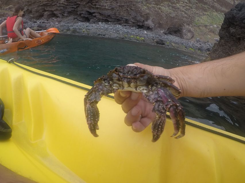 Madeira: Garajau Nature Reserve Kayak and Snorkel Tour - Customer Feedback