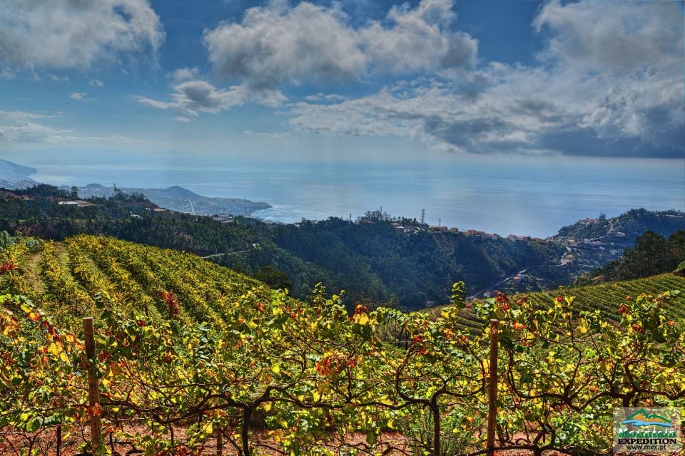 Madeira: Half-Day Nuns Valley and Sea Cliff Tour - Visiting Camara De Lobos