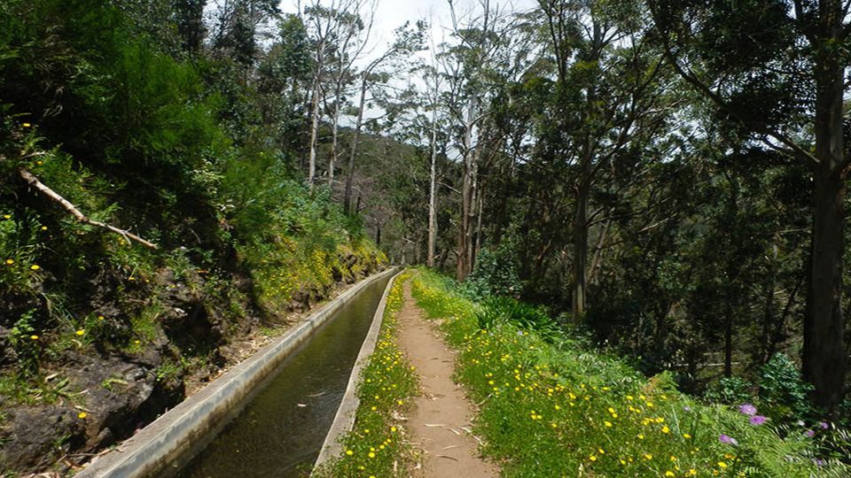 Madeira: Levada Calheta to Prazeres Private Walking Tour - Required Gear and Attire