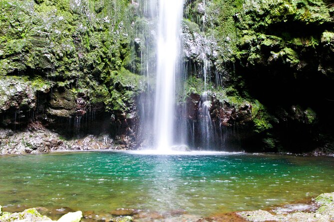 Madeira Levada Walk - Caldeirao Verde - Included Tour Features and Logistics