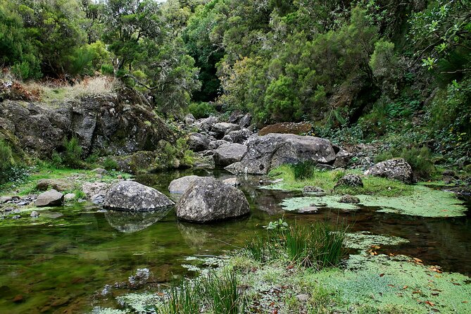 Madeira Levada Walk - Rabacal Lakes and Fountains - Accessibility and Requirements