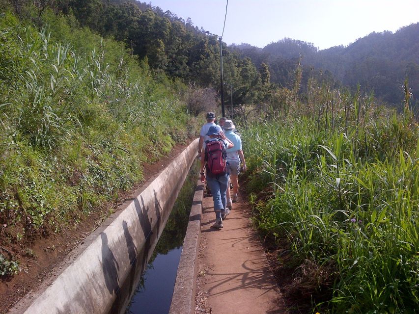 Madeira: Levado Do Norte 2-Hour Hiking Tour - Booking Information