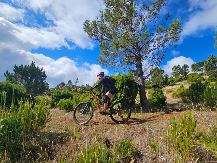 Madeira - Mountain Biking Tour - Pickup and Drop-off Locations