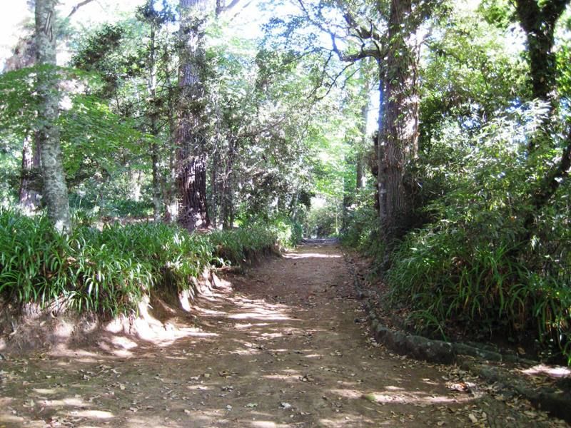 Madeira: Paradise Valley Levada Walk - Inclusions in the Tour