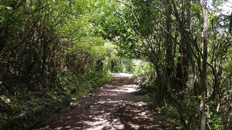 Madeira: Private Guided Levada Calderão Verde Walk PR9 - Pick-up and Transport