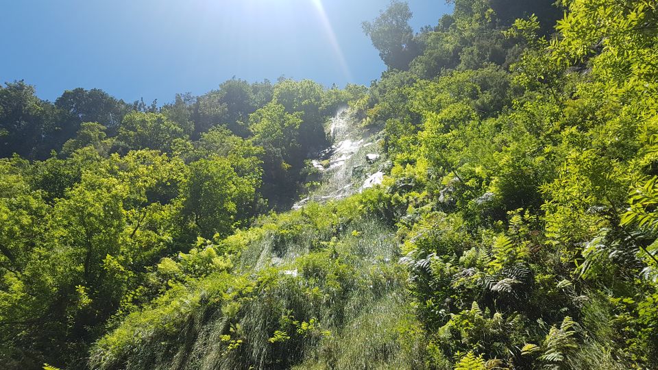 Madeira: Private Guided Levada Do Rei Walk PR18 - Physical Fitness Requirements