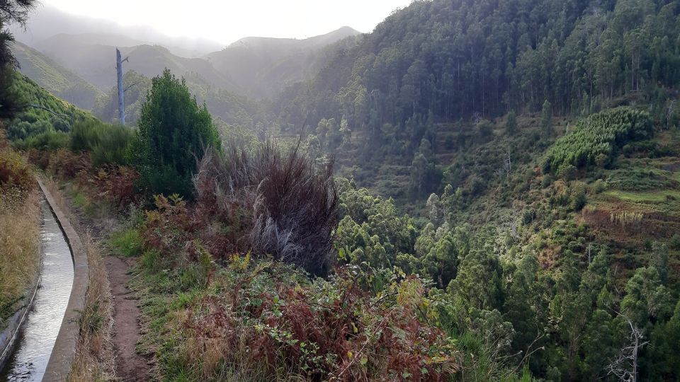 Madeira: Private Levada Ponta Do Pargo Walk - Excluded From the Tour