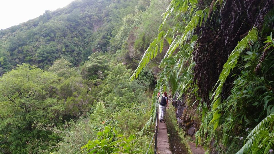 Madeira: Queimadas, Caldeirão Verde, and Levada Walk - Booking Options