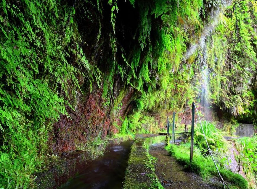 Madeira: Walking Tour Levada Do Rei/Ribeiro Bonito - Cancellation Policy