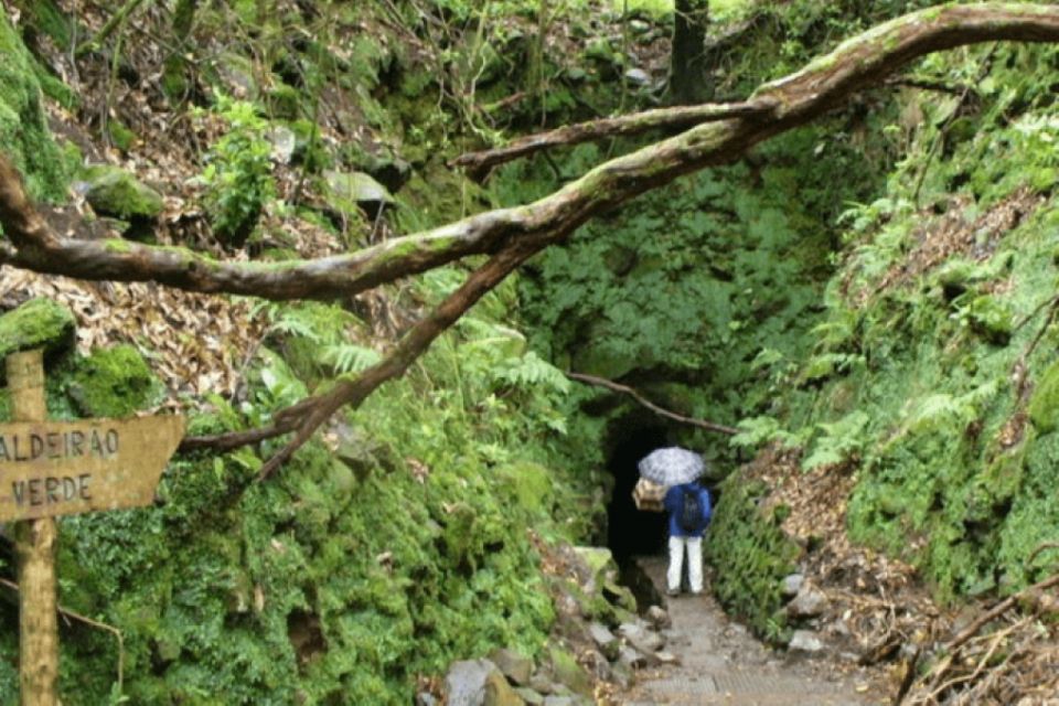 Madeira: Walking Tour - Queimadas / Caldeirão Verde - Customer Ratings