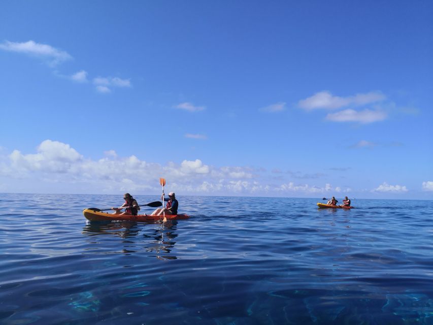 Madeiras Marine Reserve: Kayak & Snorkelling Trip - Kayaking Adventure