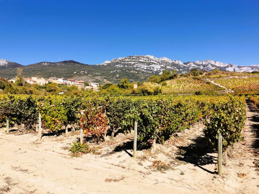 Madrid: Half Day Wine Region Tour - Cultural Experience