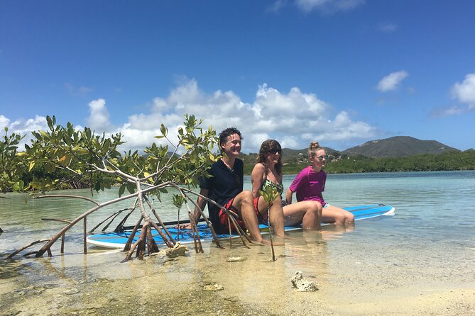 Magic Mangrove Paddle in Beef Island Lagoon - History of the BVI