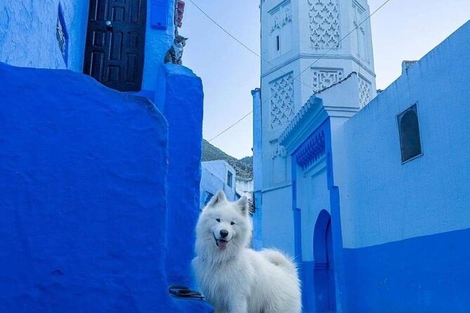 Magical Chefchaouen - Luxury Private Day Trip From Fes - Cancellation and Refund Policy