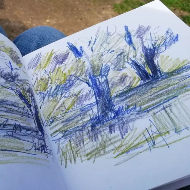 Maidstone: Mote Park Nature Walk and Drawing Workshop - Included Art Materials