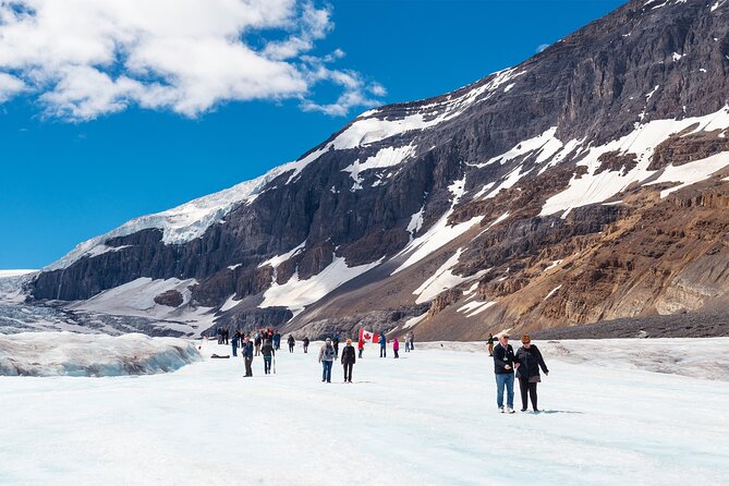 Majestic Icefield Journey: Day Excursion From Calgary - Tour Operator