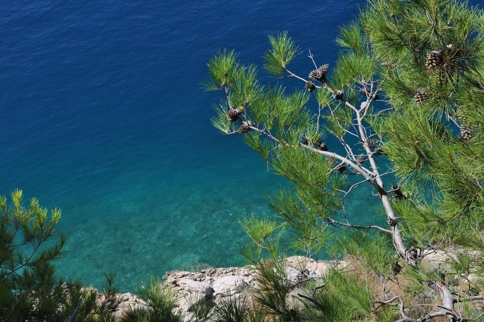 Makarska: Private Riviera Walking Tour - Stroll Waterfront Promenade