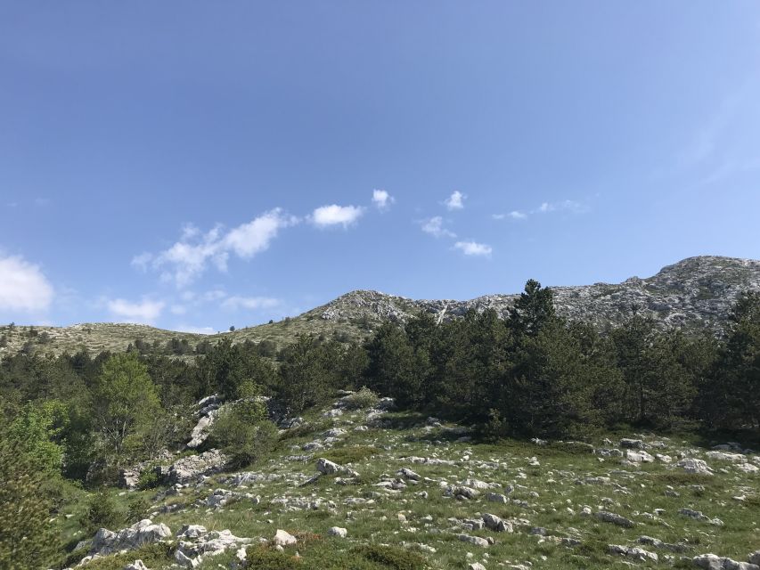 Makarska Rivijera: Half-Day Hiking Tour in Nature Park - Guided Experience