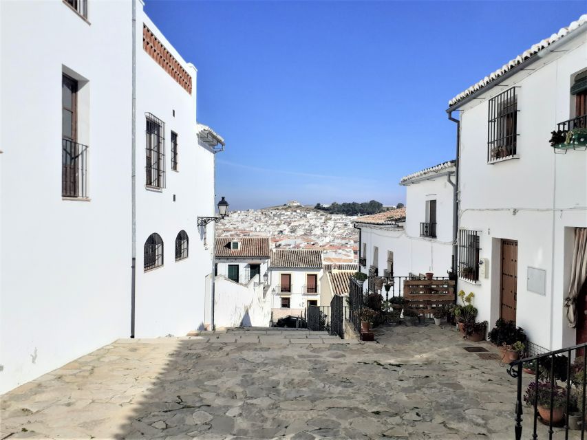 Málaga: Antequera Guided Walking Tour - Languages Offered