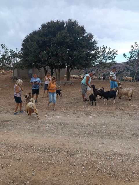 Malia: Paradise of Eastern Crete (Family and Child Friendly) - Animal Encounters at Amazonas