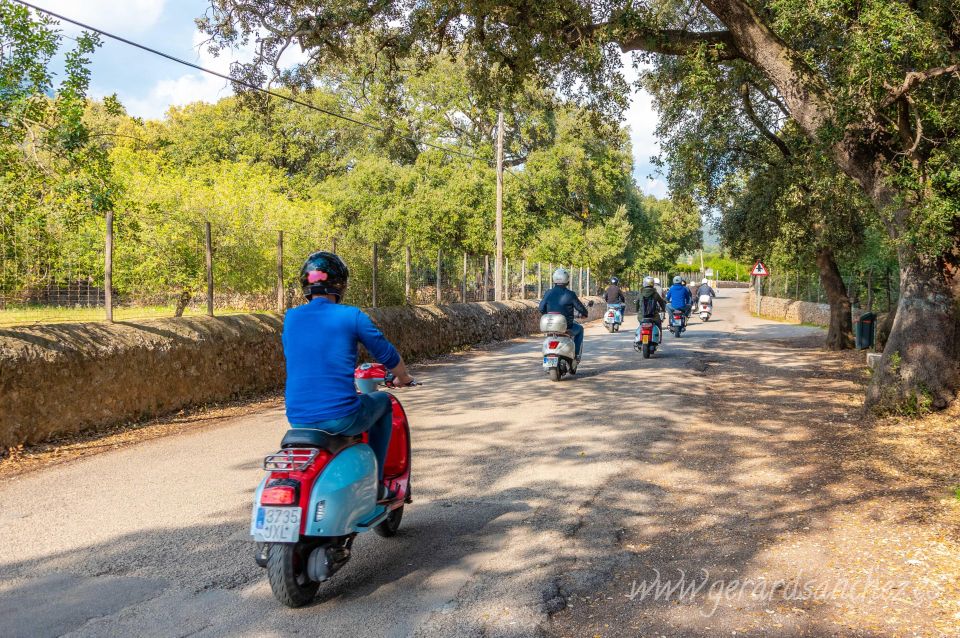 Mallorca: Southwest Mountains, Villages, & Sea Scooter Tour - Languages