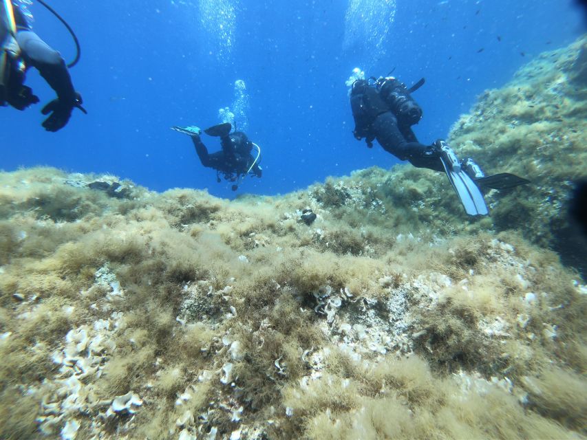 Malta: St. Pauls Bay 1 Day Scuba Diving Course - Safety and Restrictions