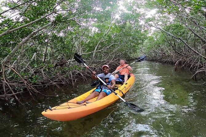 Mangroves and Manatees - Guided Kayak Eco Tour - Tour Options and Inclusions