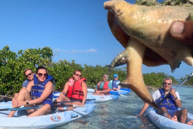 Mangroves Kayak Tour - Tour Schedule and Location