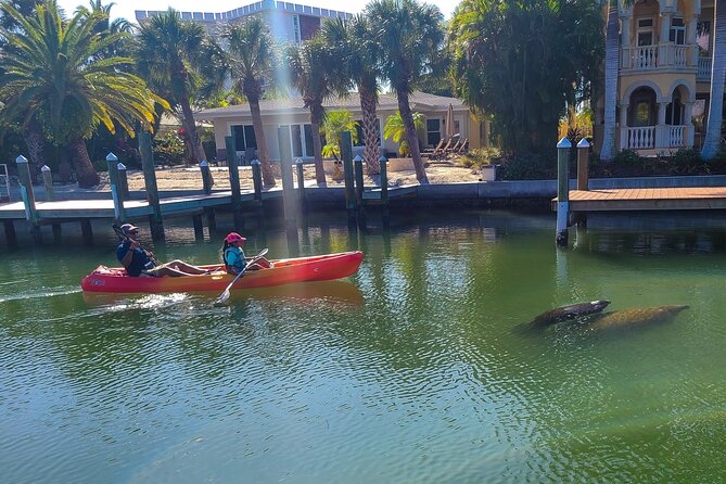 Mangroves, Manatees, and a Hidden Beach: Kayak Tour - Scenic Stops and Relaxation