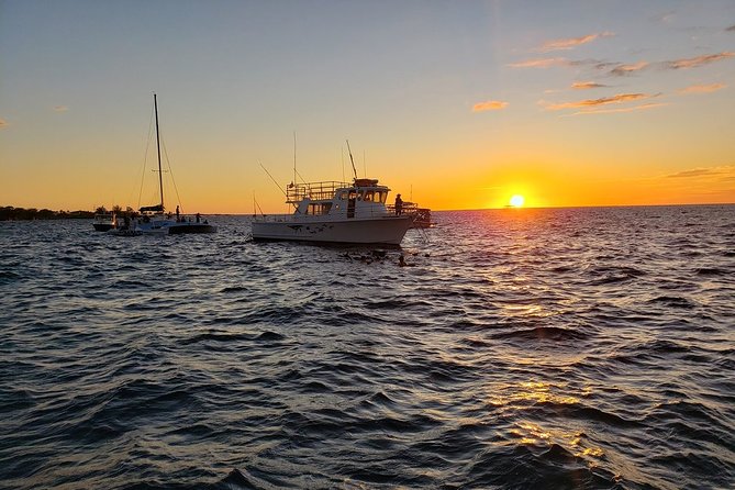 Manta Ray Night Snorkel in Kona - Customer Experiences