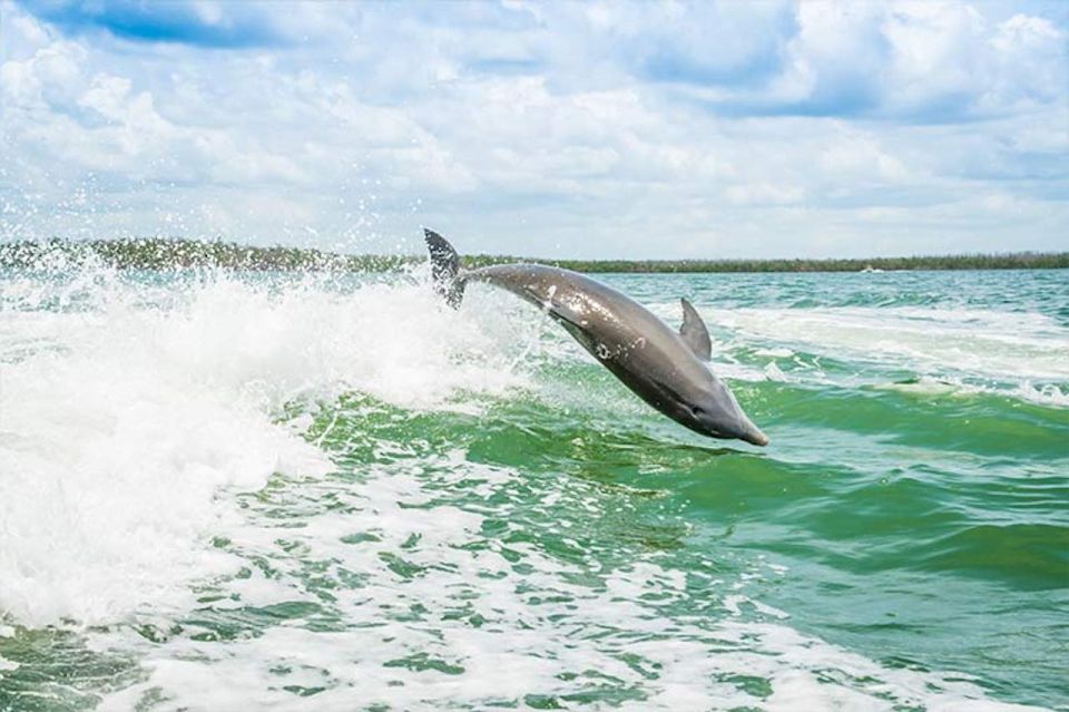 Marco Island: Shelling and Sightseeing Boat Cruise - Meeting Point and Accessibility