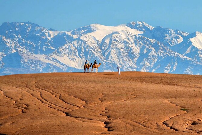 Marical Dinner and Camel Ride at Sunset in Desert of Marrakech - Camels and Mules