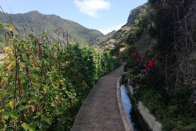 Marocos - Mimosa Valley - Observing Local Landowners