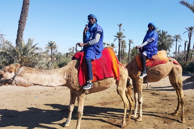 Marrakech Camel Ride & Quad Bike Experience in the Oasis Palmeraie - Included Amenities and Services