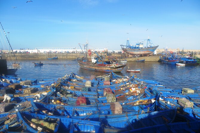 Marrakech to Essaouira: Day of Discovery Along Morocco Coastal - Exploring Essaouiras Scenic Landscapes