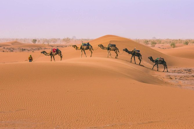 Marrakesh Desert Tour 3 Days - Skoura Oasis Highlights