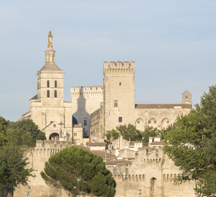 Marseille: Cruise Ship Excursion to Avignon & Popes Palace - Saint-Benezet Bridge and Wine Tasting