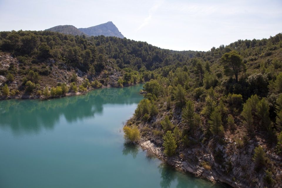 Marseille Vieux Port & Wine Tasting - Private Tour - Hilltop Village of Le Castellet