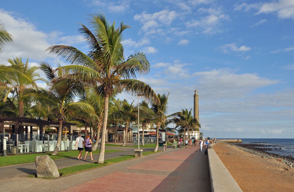 Maspalomas: E-Bike Tour Optional Camel Ride - Pricing for Camel Ride