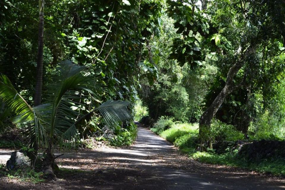 Maui: Iao Valley, Tropical Plantation & Lavender Farm Tour - Iao Valley Admission