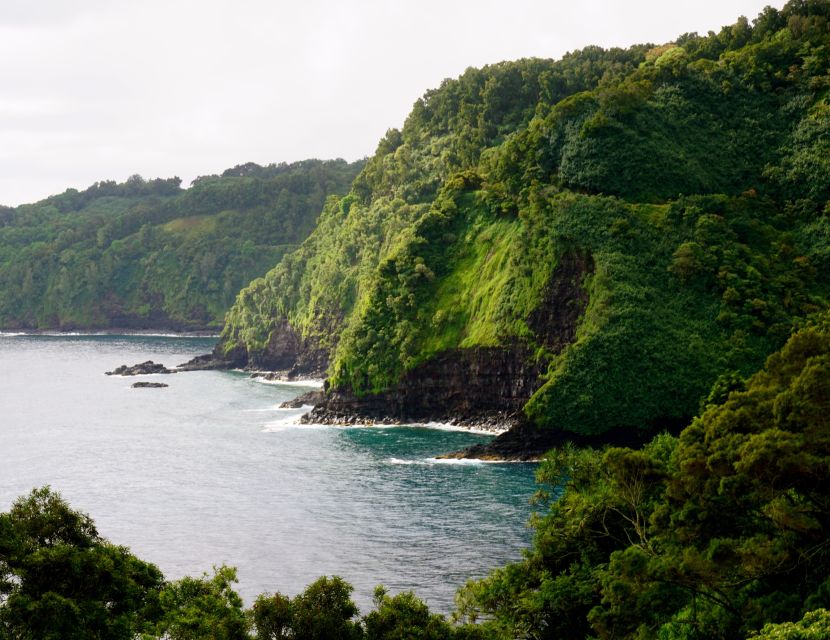 Maui: Private Guided Halfway to Hana Tour - Tide Pools Exploration