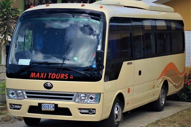 MBJ Round Trip Airport Transfer to Grand Palladium & Lady Hamilton, Lucea Jm - Fitness Requirement