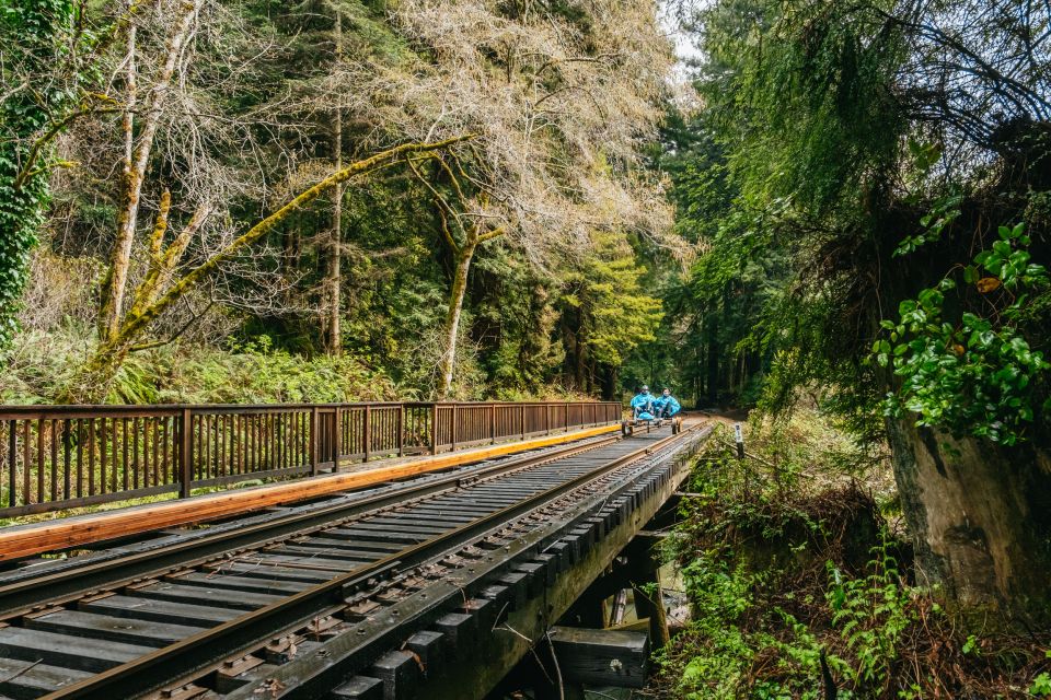 Mendocino County: Pudding Creek Railbikes - Native Wildlife Spotting