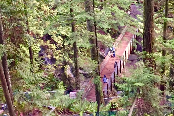 Mesmerizing Nature Walk in Lynn Canyon Park - Confirmation and Cancellation Policy Details