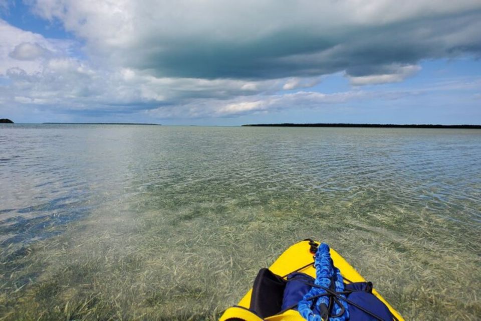 Miami: Everglades National Park Hiking and Kayaking Day Trip - Picnic Lunch With Dietary Options