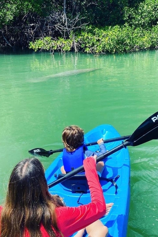 Miami: Manatee Season Tour Paddleboard or Kayak Tour - Meeting Point and Return Location