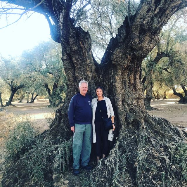 Midday Olive Oil Tour and Visit to Old Town of Belchite - Dining Experience