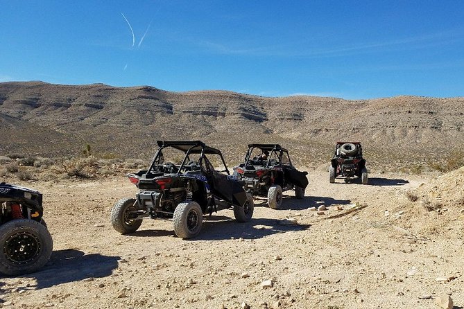 Mojave Desert Off Road RZR Tour in Las Vegas - Driver and Passenger Guidelines