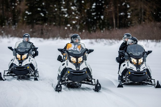 Mont-Tremblant Guided Snowmobile Tours - Tour Duration and Group Size