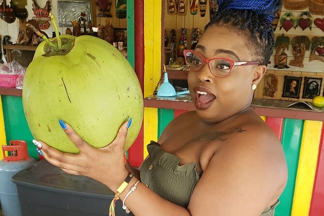 Montego Bay Private Highlights Tour With Pickup - Alcohol Consumption